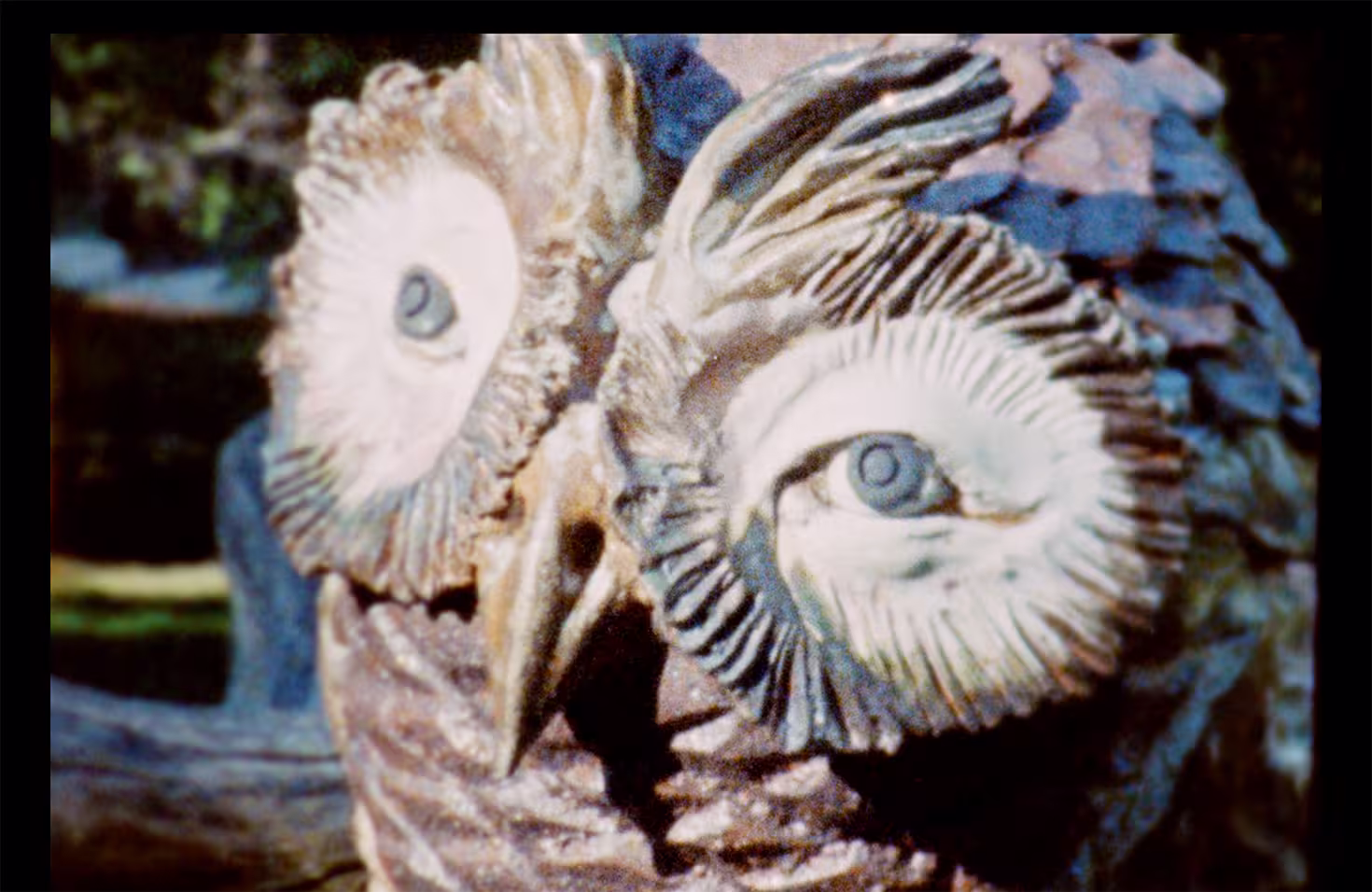 PedroGoncalvesRibeiro_Rezbotanik_Still03 - Portugal Film