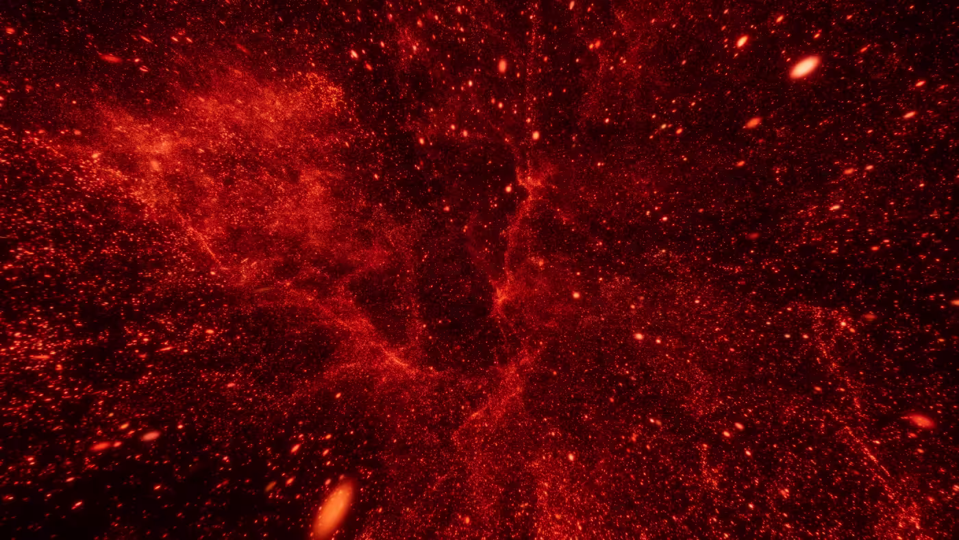 Still_03_THIS IS NOT YOUR GARDEN - EXPERIMENTA